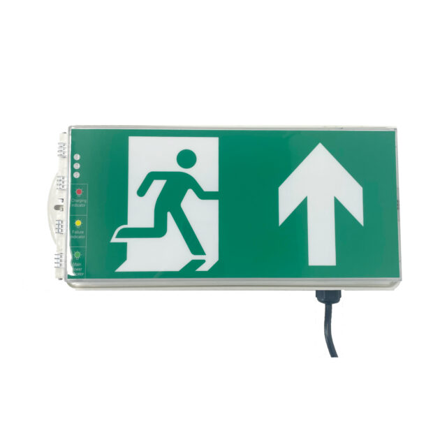 Atex Zone 1 - LED Emergency Bulkhead 3W