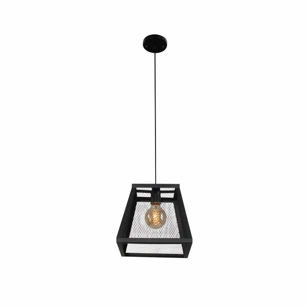 Black Metal Cuboid Caged LED Pendant Light
