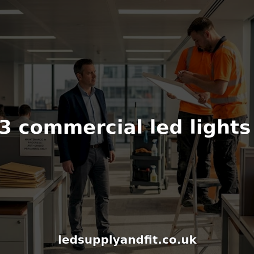 Manager supervising commercial LED lights installation