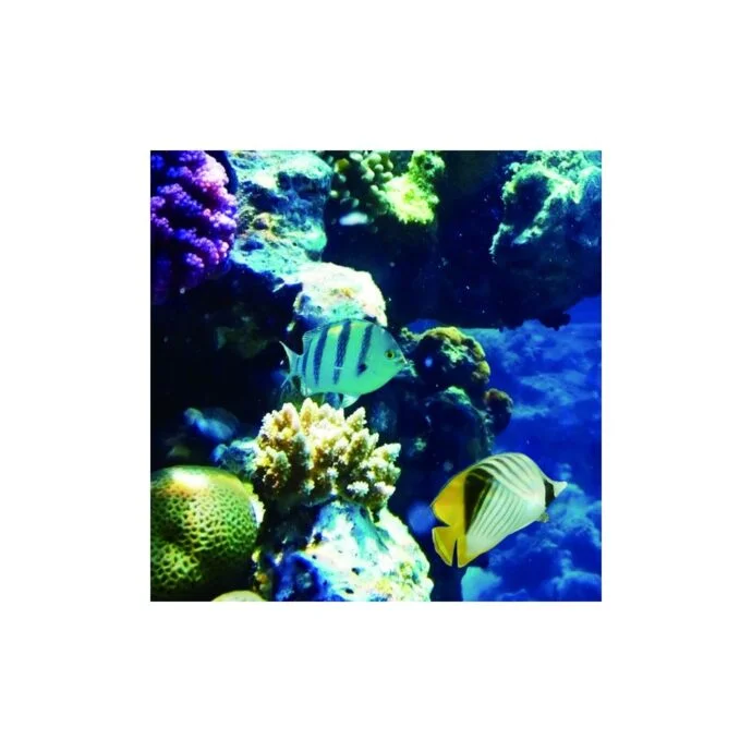 40W LED Marine Panel Light | 600x600 | 3600lm | 6,500K | Marine Panel (Pack of 4) - Image 5