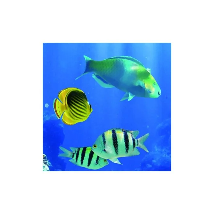 40W LED Marine Panel Light | 600x600 | 3600lm | 6,500K | Marine Panel (Pack of 4) - Image 4